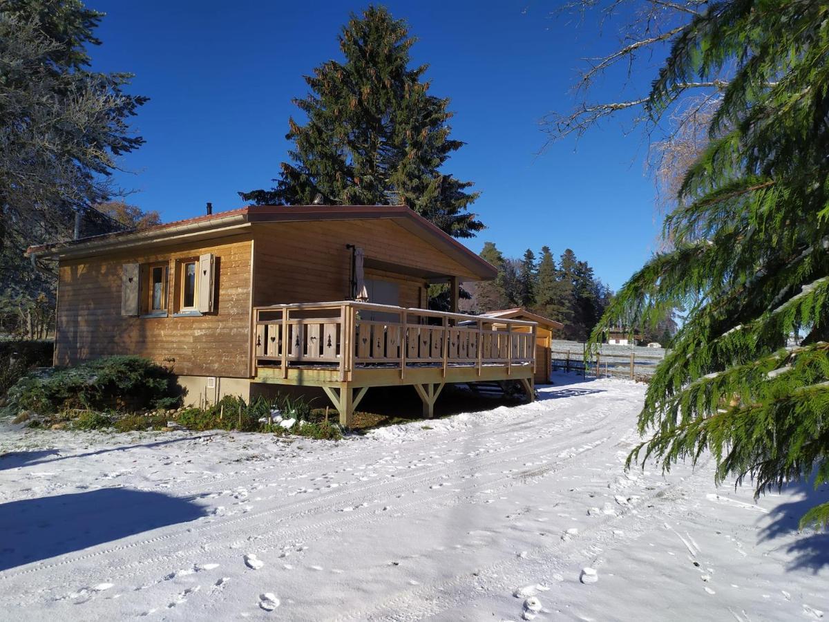 Chalet Du Spiemont Champdray Exterior foto